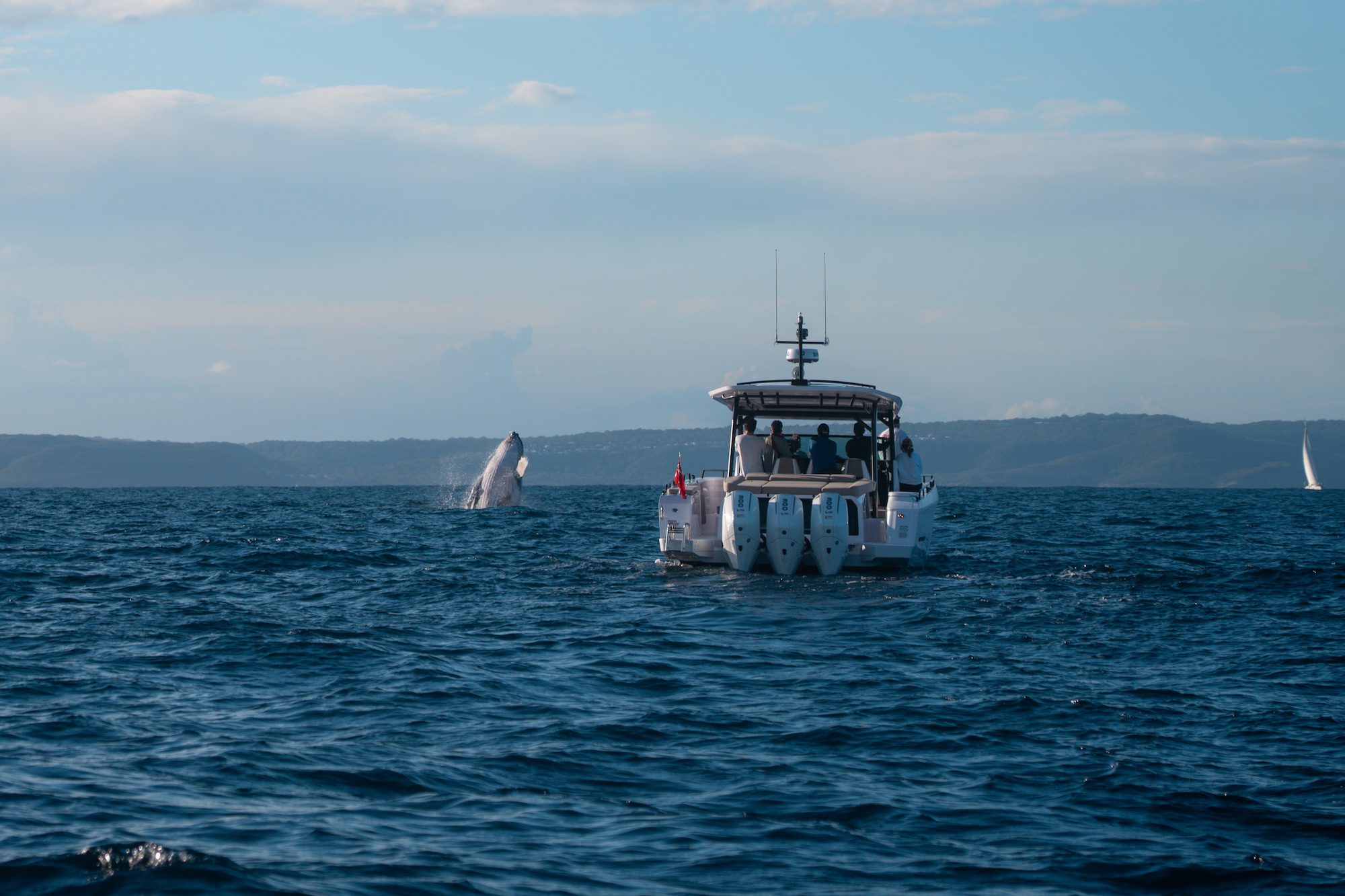 Offshore Performance Boats Axopar 45 Sun Top Whale Offshore Performance Boats Axopar 45 Sun Top Whale